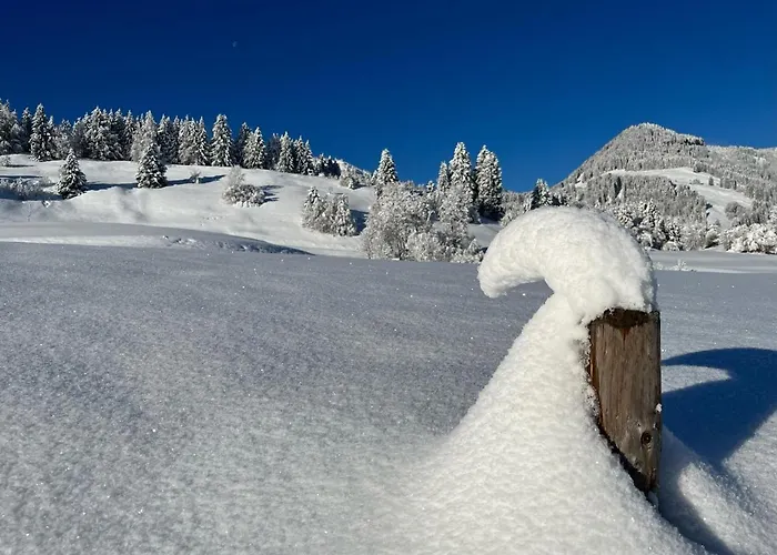 Brugger * Obermaiselstein