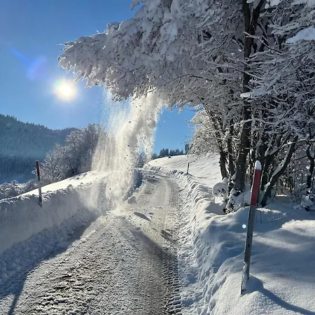 Brugger * Obermaiselstein