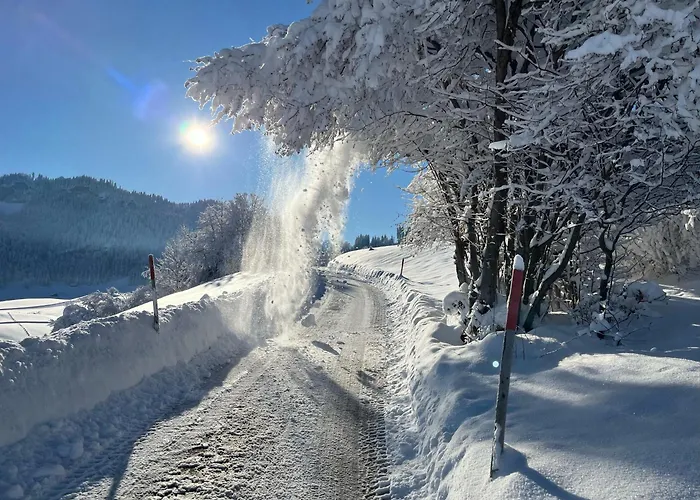 Brugger * Obermaiselstein